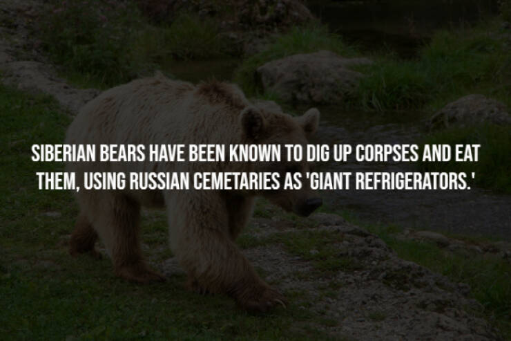 Creepy Facts Are Terrifyingly Interesting