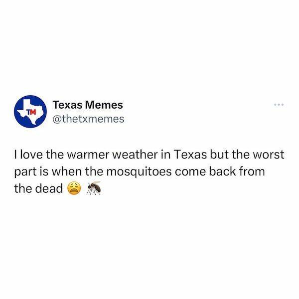 Just Texas Things…