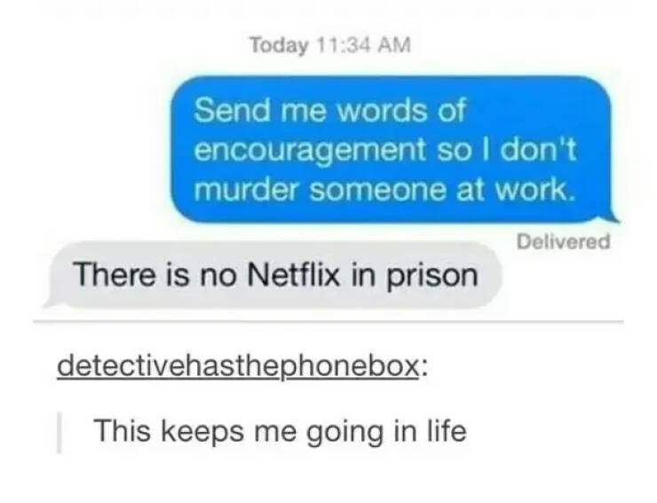 Hilarious Memes That Sum Up Netflix