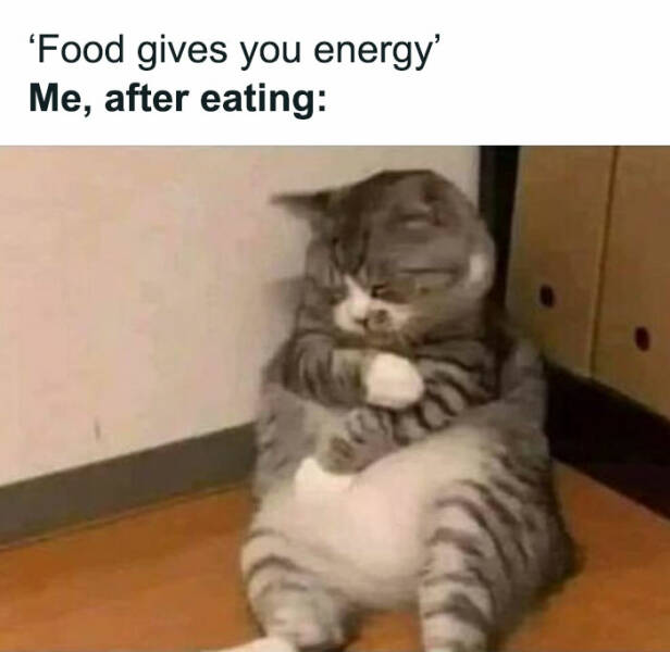 These Food Memes Are Hilariously Relatable