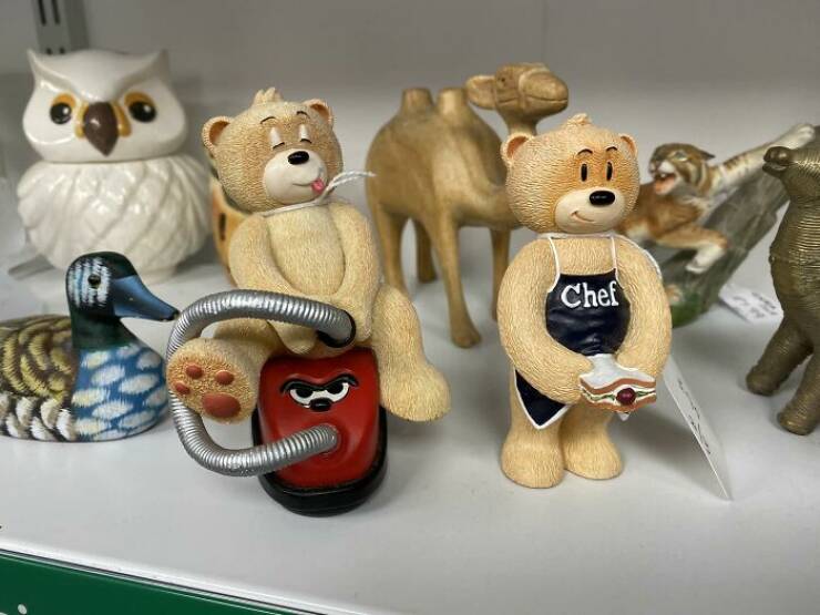 Bizarre Items Found In Charity Shops