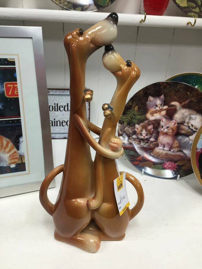 Bizarre Items Found In Charity Shops