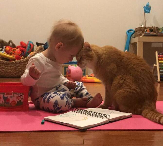 When Cats Take On Babysitting Duties