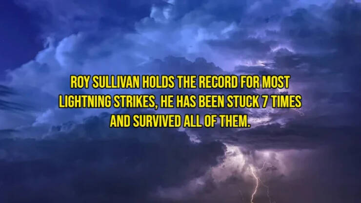 Curious And Unusual Facts That Will Blow Your Mind