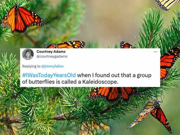 People Share The Surprising Things They Recently Learned