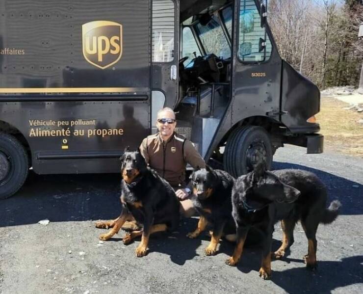 The Adorable Encounters Of UPS Drivers