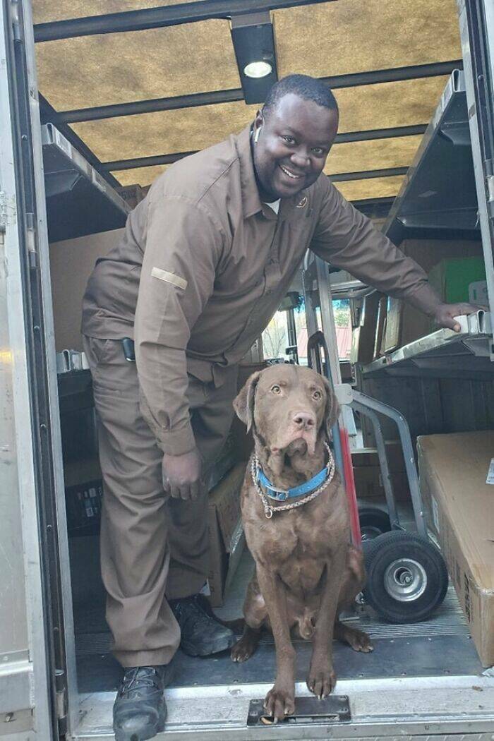 The Adorable Encounters Of UPS Drivers