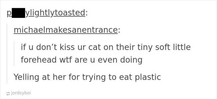 Laughing Out Loud: The Funniest Tumblr Screenshots