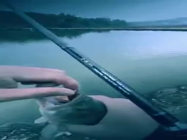 Great Catch