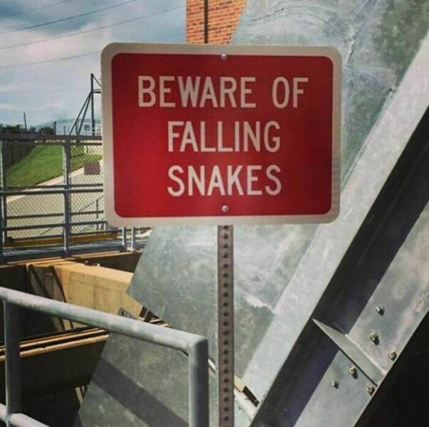 Strange Warnings: Unsettling Messages Found In The Wild