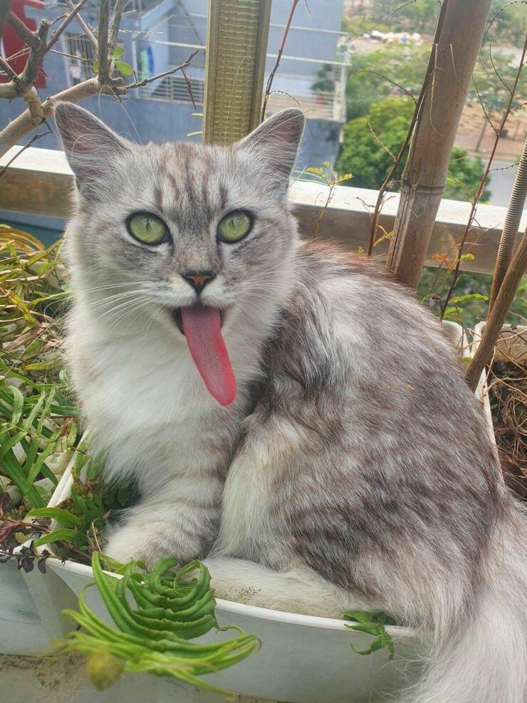 Daily Picdump