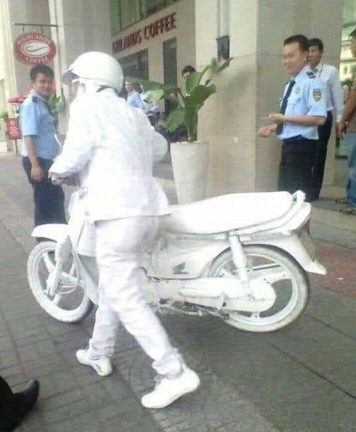 Daily Picdump