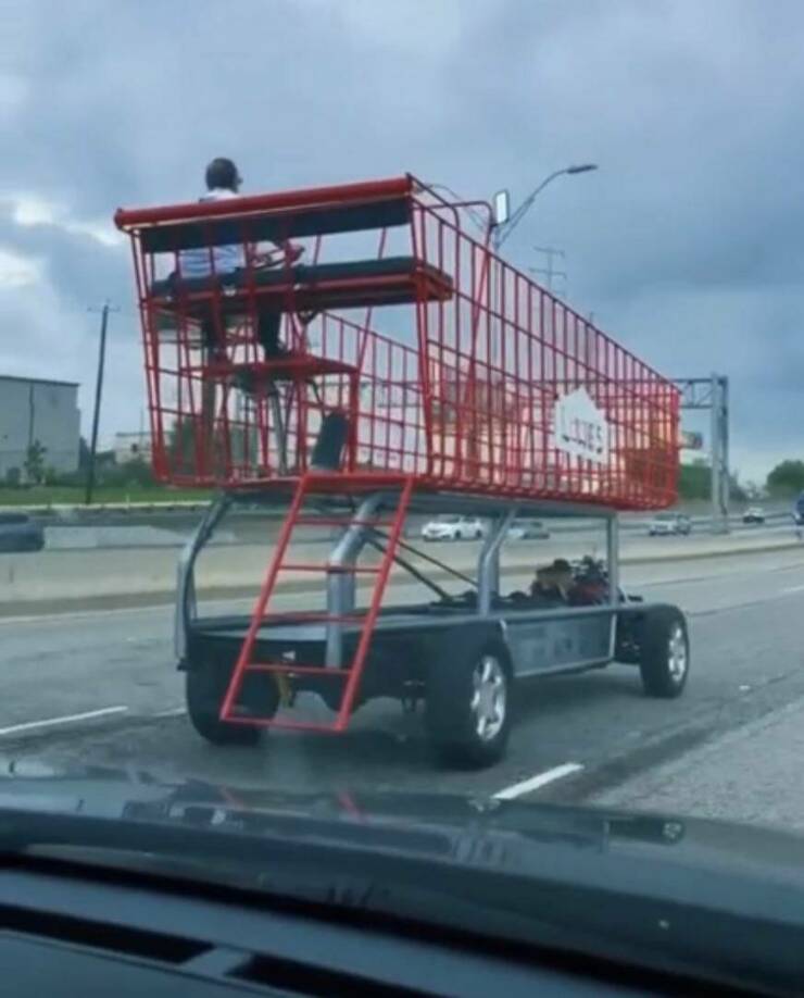 Daily Picdump