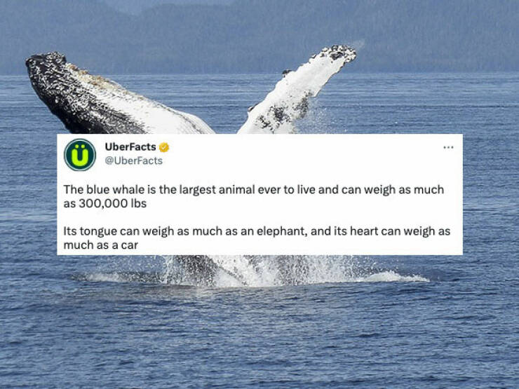 Prepare To Be Surprised: Insanely Interesting And Random Bits Of Knowledge Prepare To Be Surprised: Insanely Interesting And Random Bits Of Knowledge