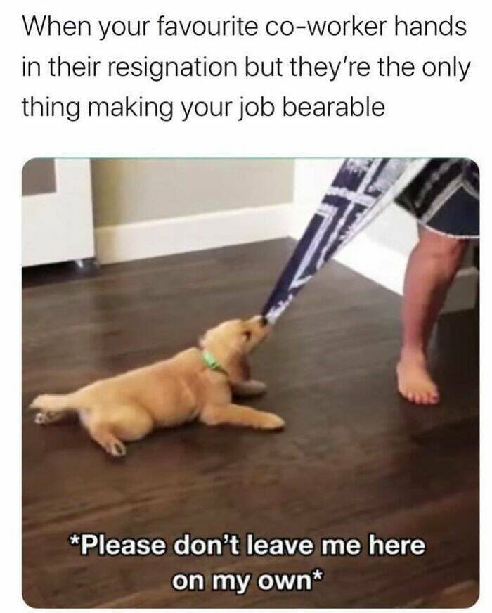 Retail Workers Unite: These Memes Will Have You In Stitches