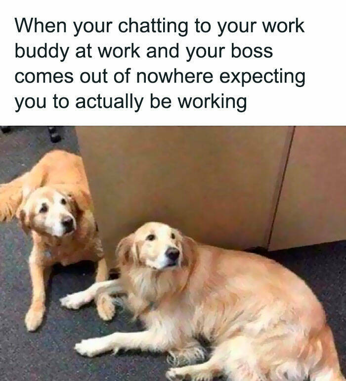 Retail Workers Unite: These Memes Will Have You In Stitches Retail Workers Unite: These Memes Will Have You In Stitches