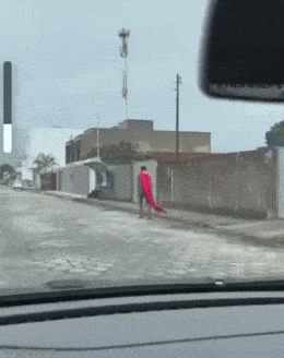 Daily Gifdump