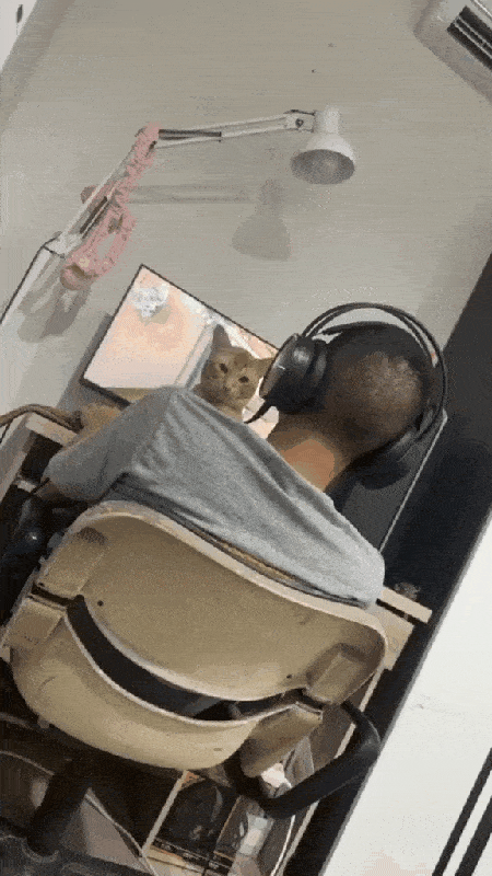Daily Gifdump