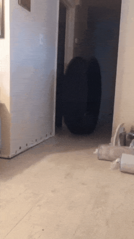 Morning Gifdump