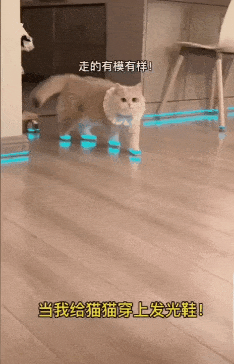 Morning Gifdump
