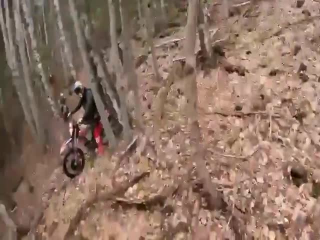 Riding A Motorcycle In The Forest