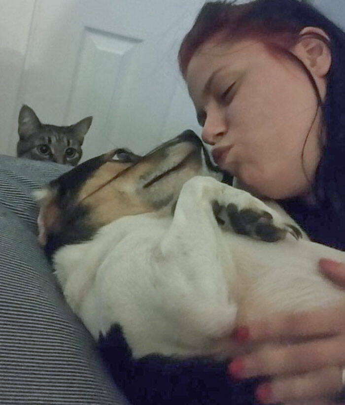 When Pets Let Their Jealousy Shine Through