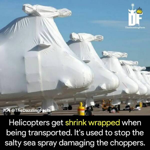 The Weird And Wonderful World: Unbelievable Facts You Wont Believe