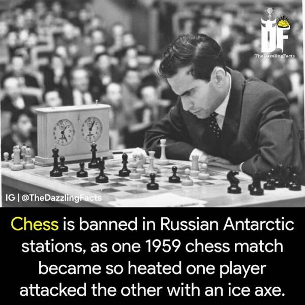 The Weird And Wonderful World: Unbelievable Facts You Wont Believe