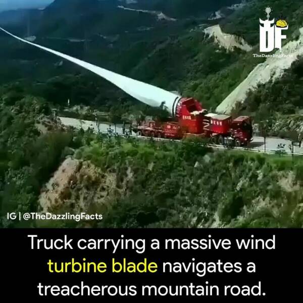 The Weird And Wonderful World: Unbelievable Facts You Wont Believe