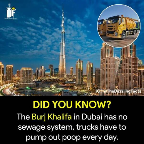 The Weird And Wonderful World: Unbelievable Facts You Wont Believe