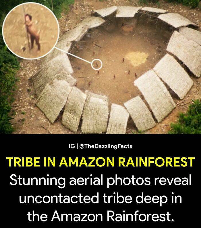 The Weird And Wonderful World: Unbelievable Facts You Wont Believe