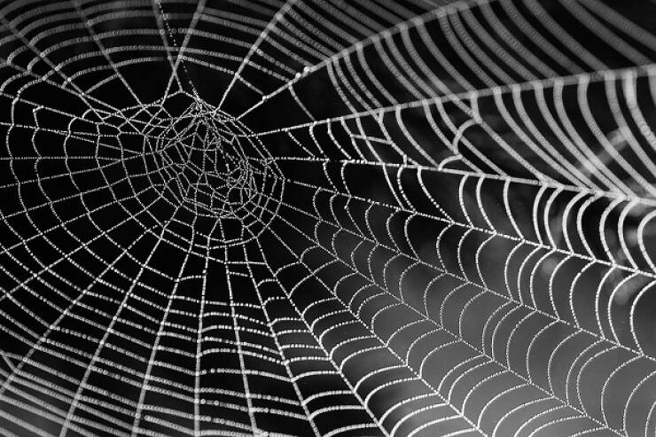Knowledge Without Boundaries: The Beauty Of Random Facts