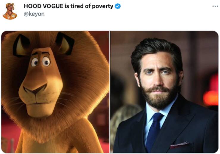 The Great Lookalike Debate: People Share Forbidden Pairs That Spark Disagreement
