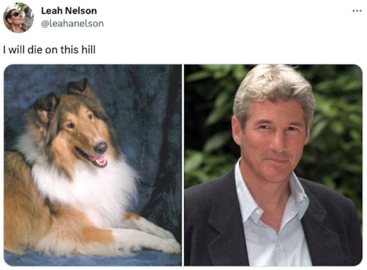 The Great Lookalike Debate: People Share Forbidden Pairs That Spark Disagreement