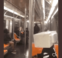 The Wild World Of Subways