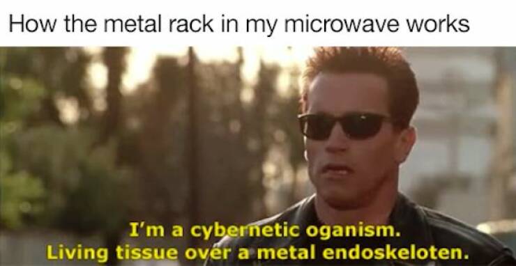 Hasta La Vista, Boredom! The Best TERMINATOR Memes To Brighten Your Day Hasta La Vista, Boredom! The Best TERMINATOR Memes To Brighten Your Day