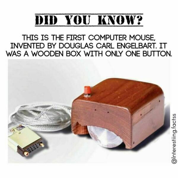 Fascinating Facts That Will Surprise Even The Most Curious Minds