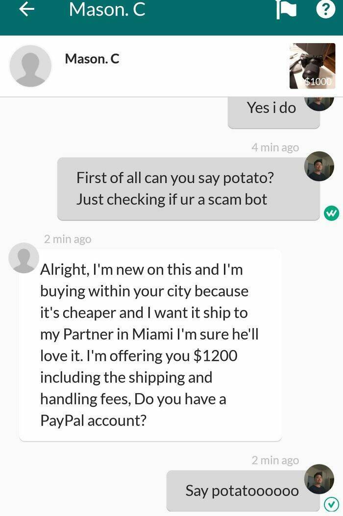 Instant Karma: Scammers Getting What They Deserve