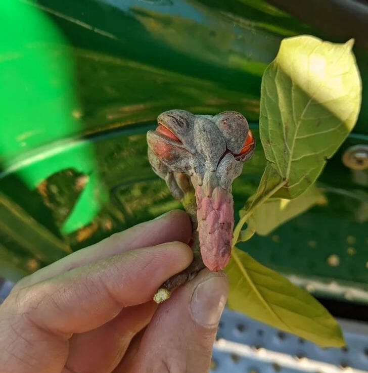 Discovering The Hidden Gems Of Nature Through Photography