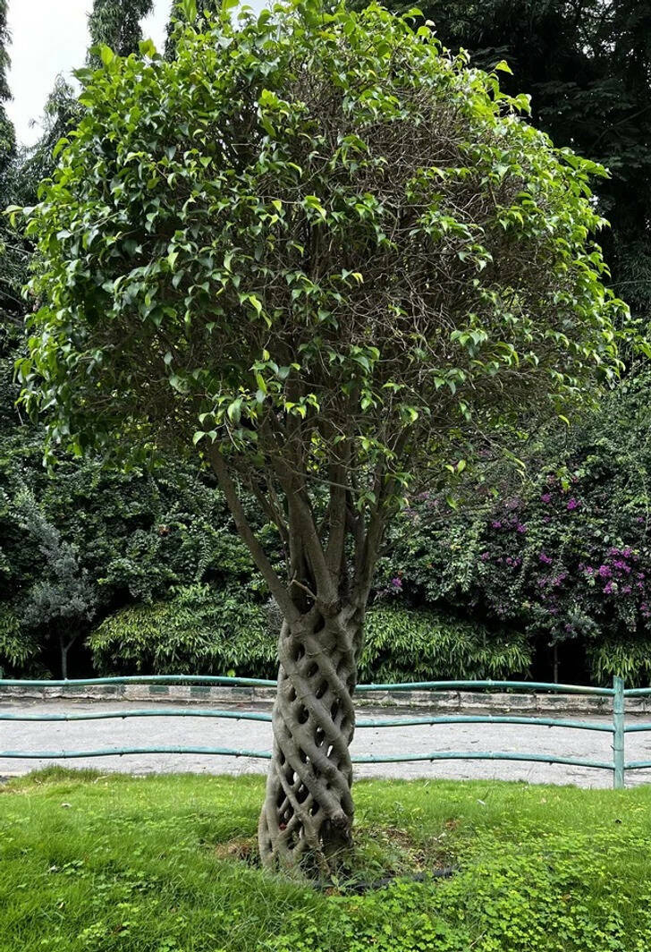 Discovering The Hidden Gems Of Nature Through Photography