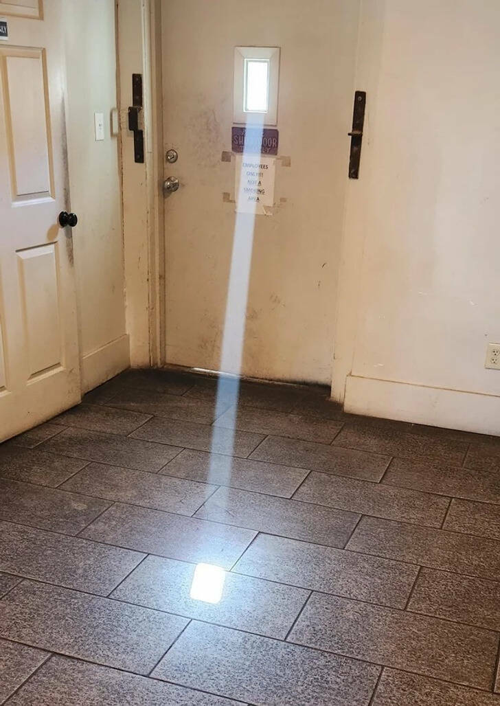 Discovering The Hidden Gems Of Nature Through Photography