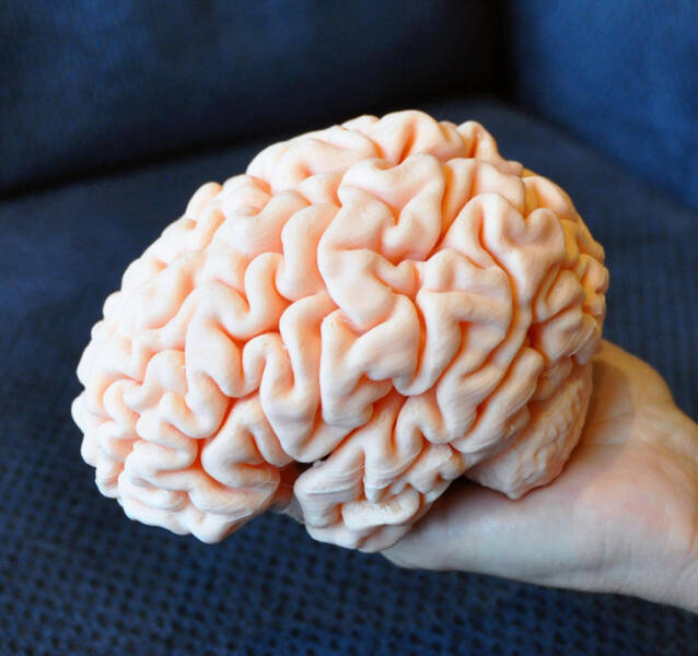 The Art Of Imagination: Captivating Pictures That Show Creativity Has No Limits