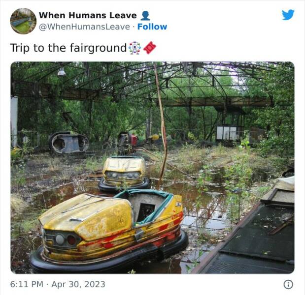 Lost To Time: Exploring The Beauty Of Abandoned Places Reclaimed By Nature