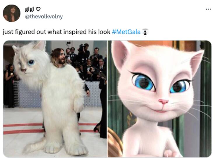 When Memes Take Over The Met Gala