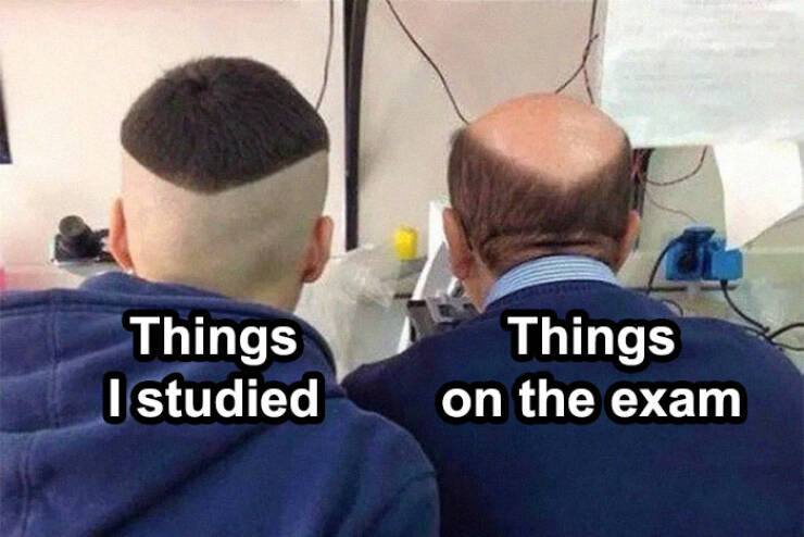 Memes That Capture The College Experience
