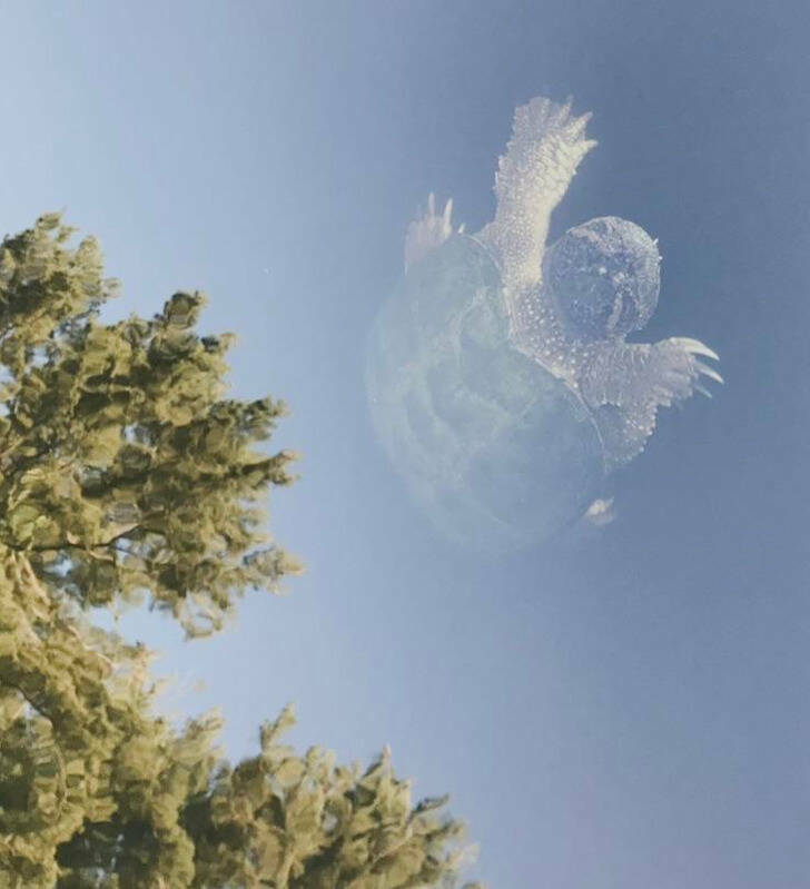 Tricky Images That Will Test Your Perception Skills