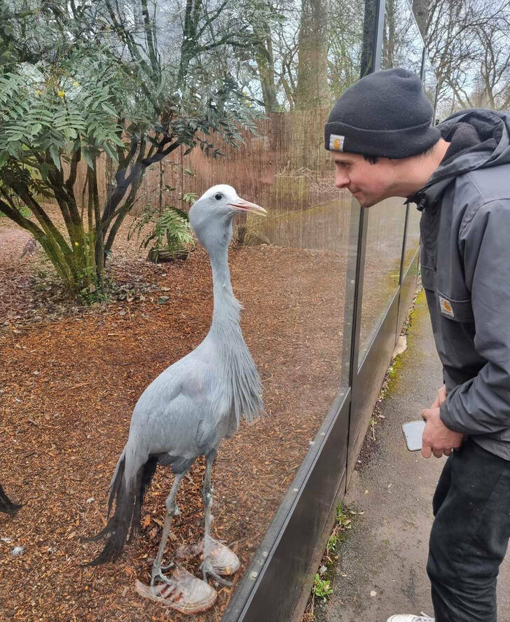 Tricky Images That Will Test Your Perception Skills