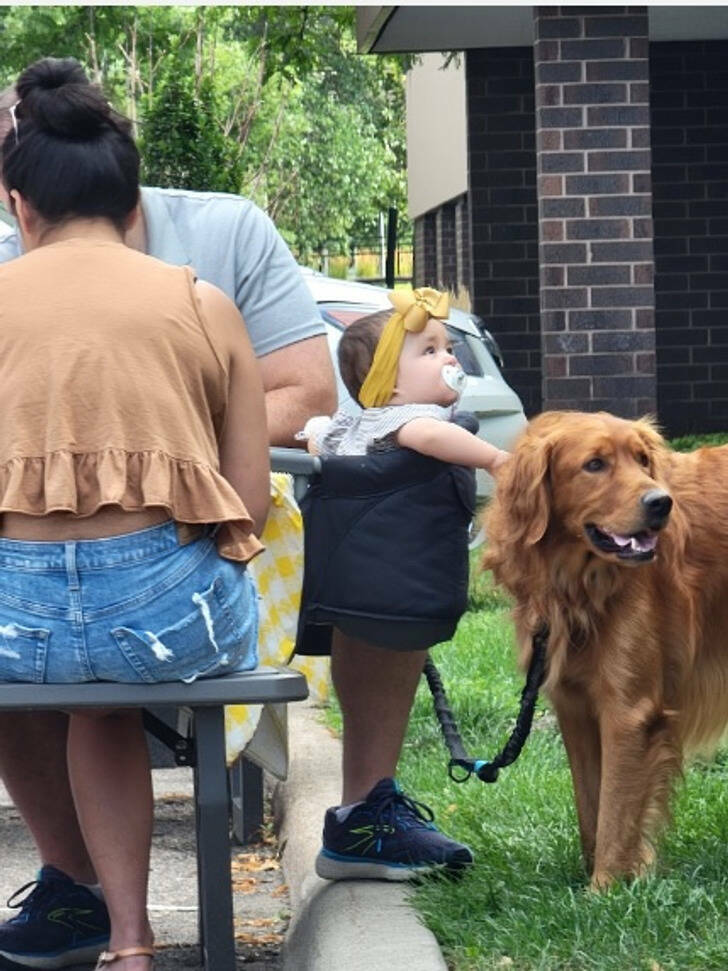 Tricky Images That Will Test Your Perception Skills