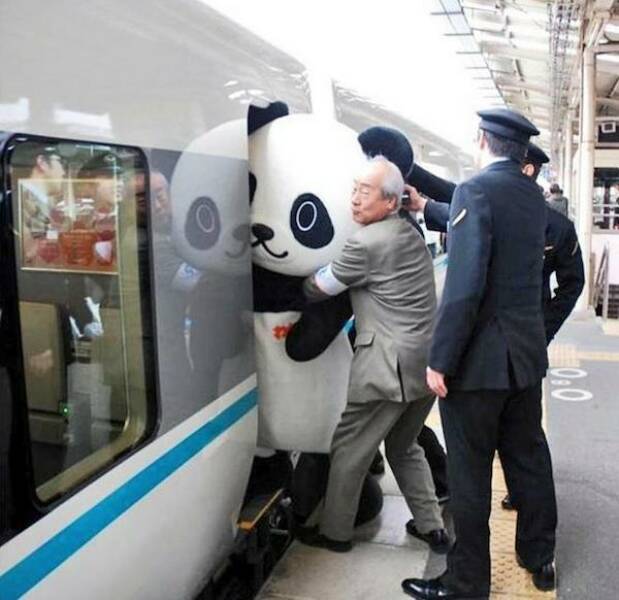 Whats Going On Here?!