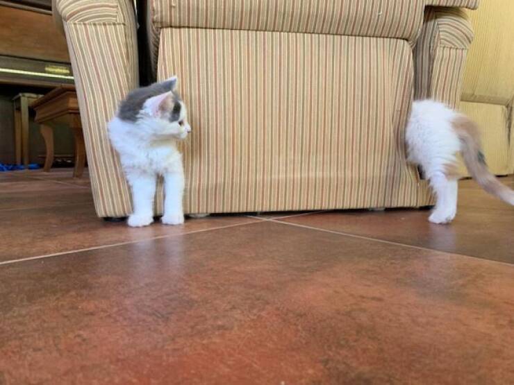 Whats Going On Here?!